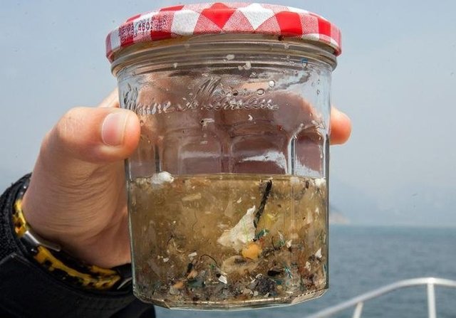 如果知道海洋中的塑料垃圾會(huì)進(jìn)入人類肚子，你還會(huì)丟嗎？