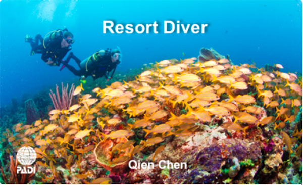 12/12正式上線！PADI 最新課程【休閑潛水員Resort Diver】 丨 一天拿證，潛遍全球