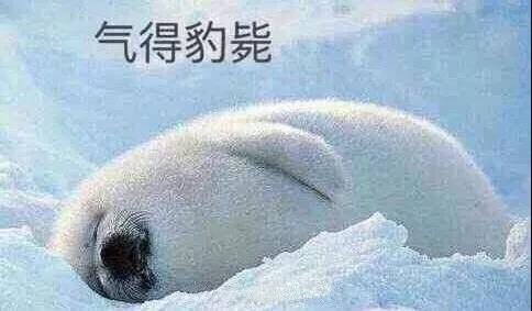 原來你是這樣的潛水員妹子！